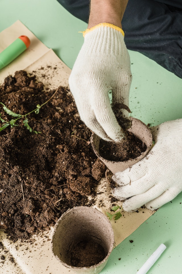 Vermicompost for plant